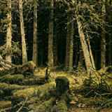 Klabautamann - Der Ort